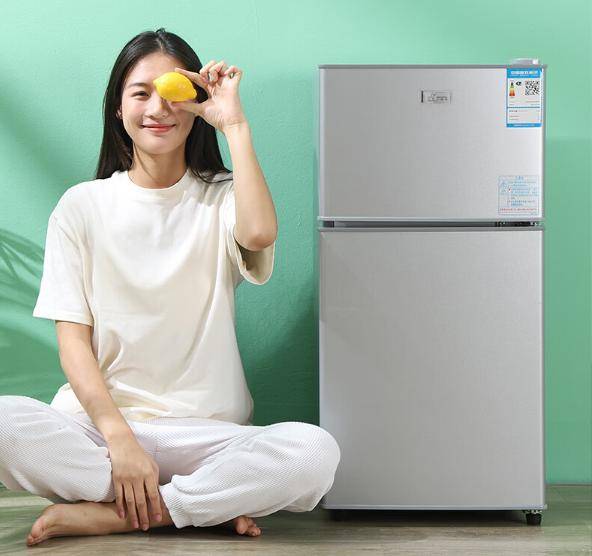 惠又省电？租房族必备实用省电小冰箱推荐凯发k8网站登录小冰箱哪个牌子好又实(图5)